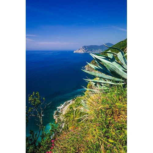 The Ligurian Sea from the Sentiero Azzurro (Blue Trail) near Vernazza-Cinque Terre-Liguria-Italy